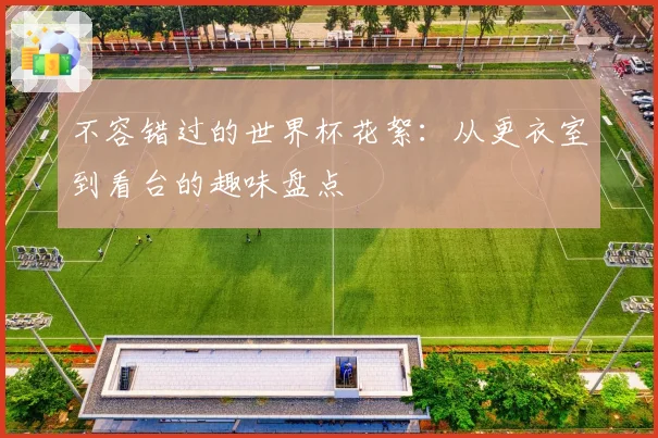不容错过的世界杯花絮：从更衣室到看台的趣味盘点