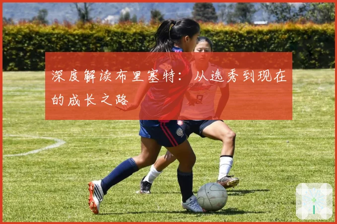 深度解读布里塞特：从选秀到现在的成长之路
