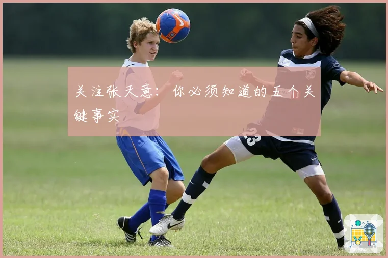 关注张天意：你必须知道的五个关键事实