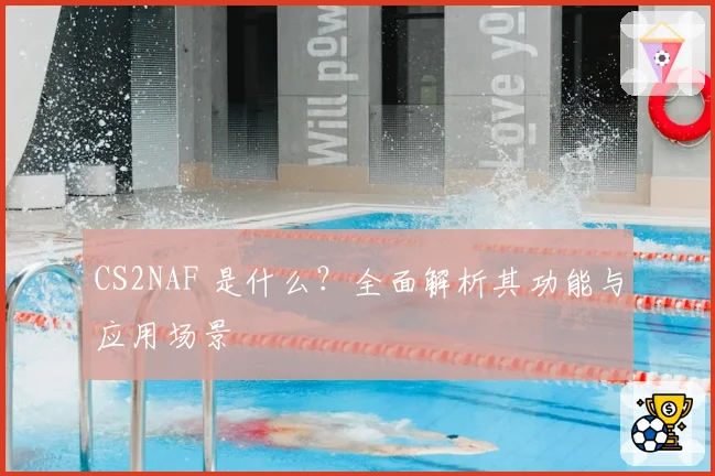 CS2NAF 是什么？全面解析其功能与应用场景