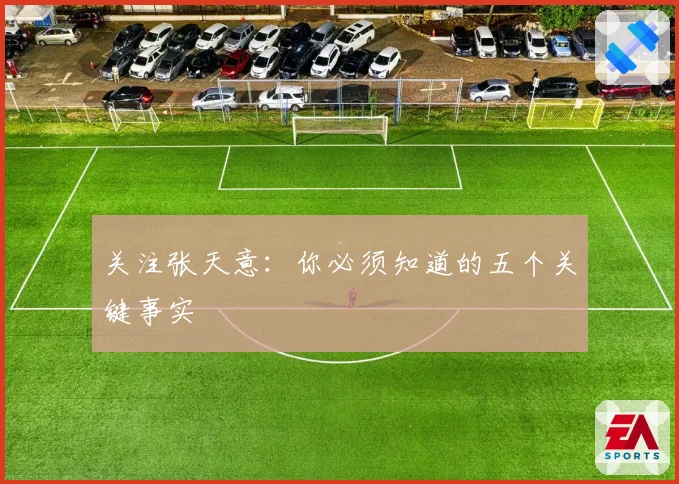 关注张天意:你必须知道的五个关键事实