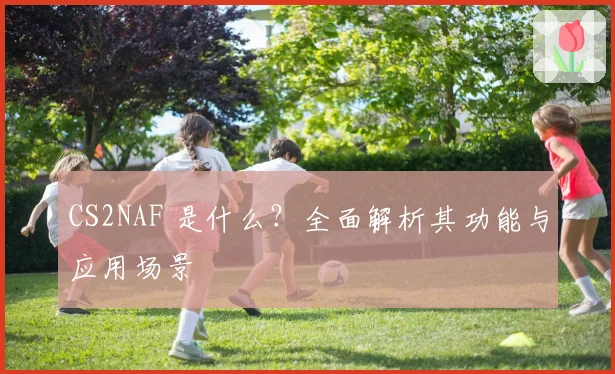 CS2NAF 是什么？全面解析其功能与应用场景
