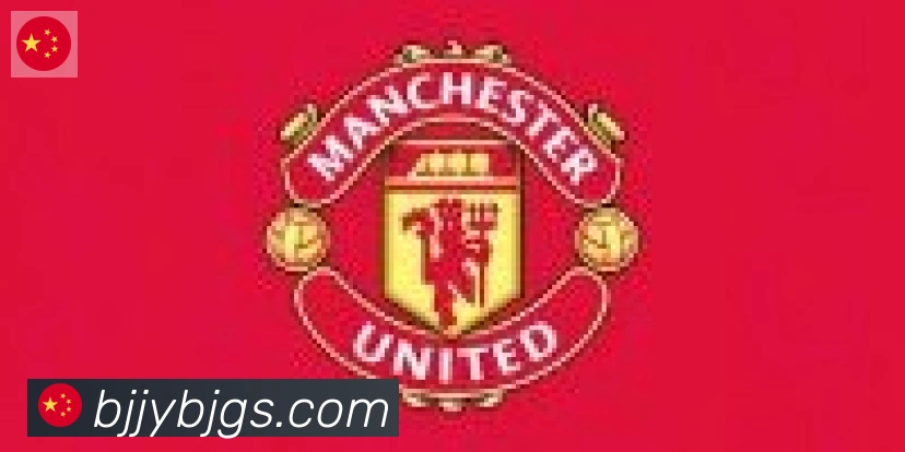 乐鱼网页版登录入口合作伙伴